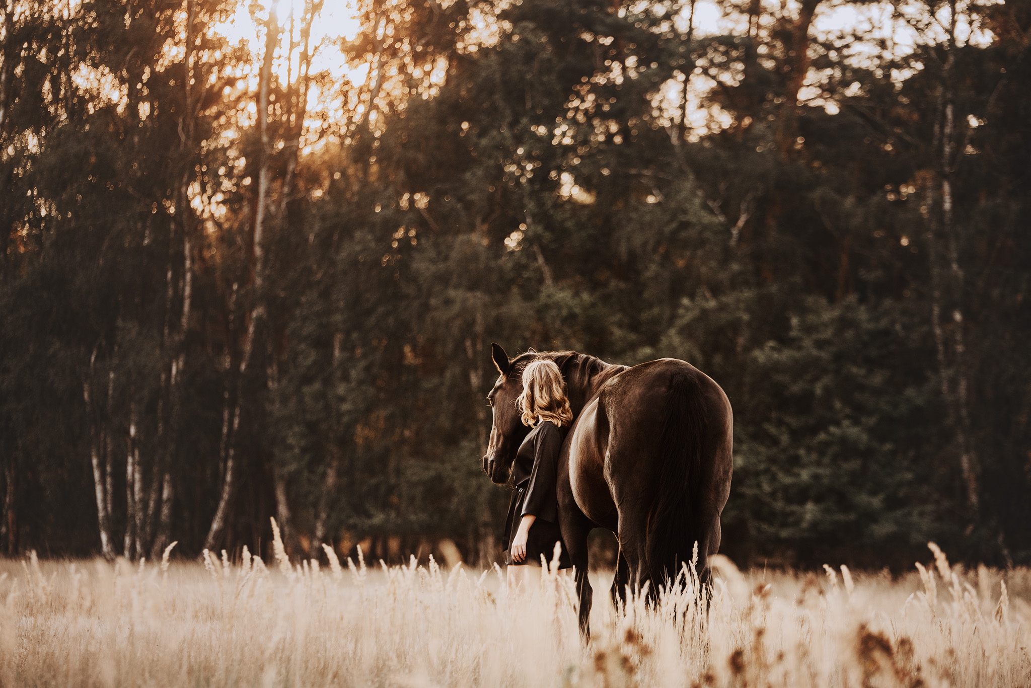 DSC_8490_web-ohneLogo